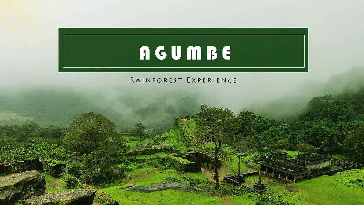 Weekend trip to Agumbe Rainforest