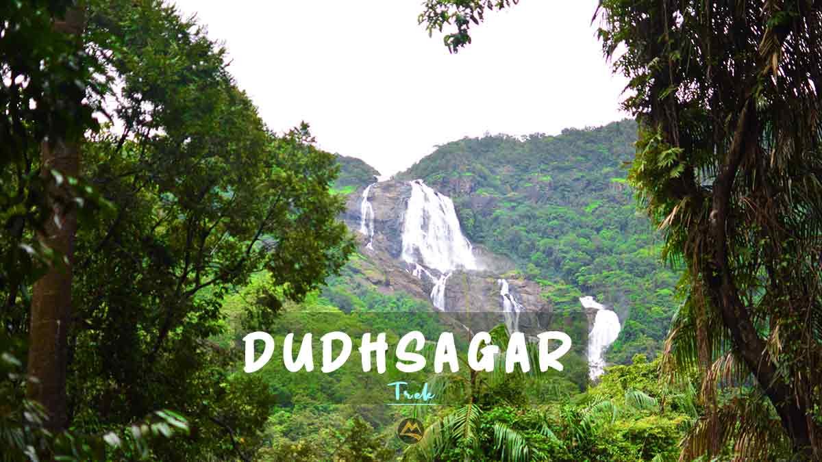 Dudhsagar Trek from Bangalore Hyderabad Muddie Trails