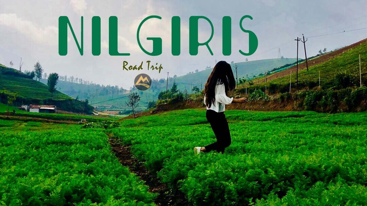 Nilgiris Road Trip