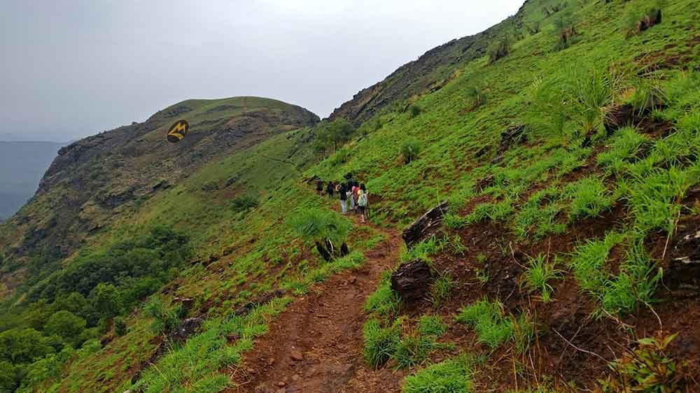 Chikmagalur-Best-places-to-visit-in-karnataka