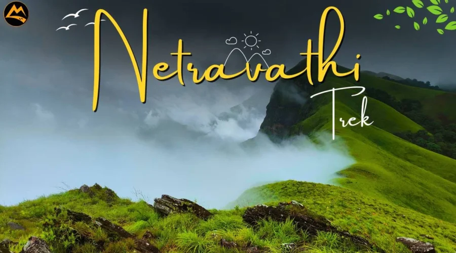 Netravathi-website-done (1)