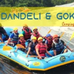 Dandeli-main