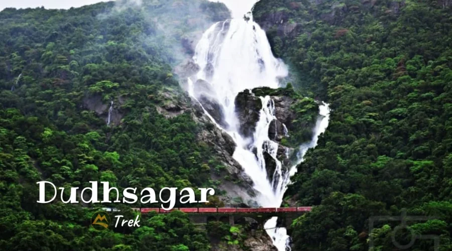 dudhsagar falls trek news