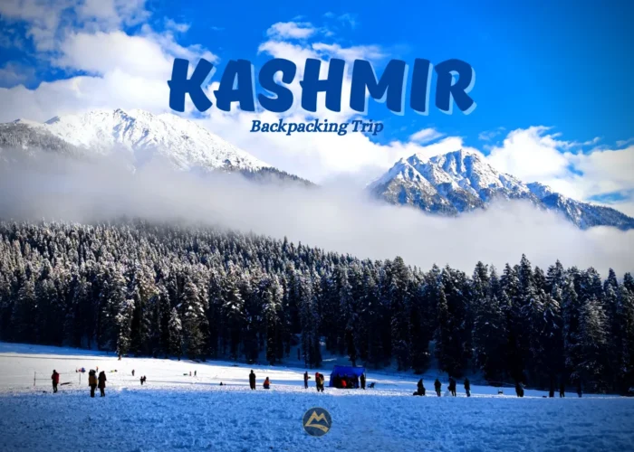 Kashmir_Creative_Winter (2)