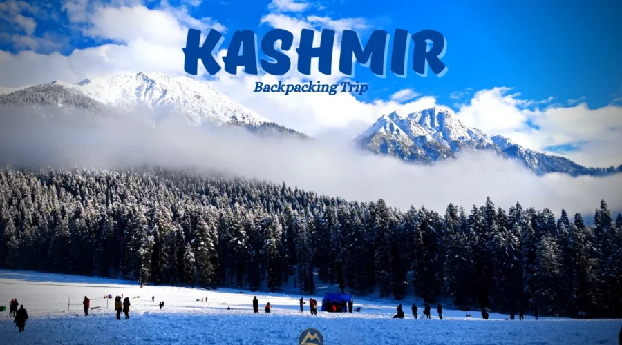 Kashmir_Creative_Winter (2)