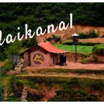 Kodaikonal-Trip-Vattakanal-Trek-Bangalore