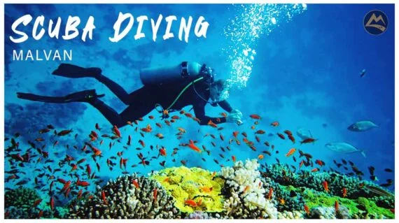 Scuba Diving From Bangalore