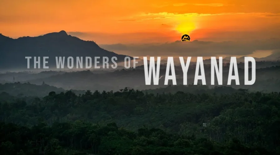 wayanad 2 days trip package from bangalore