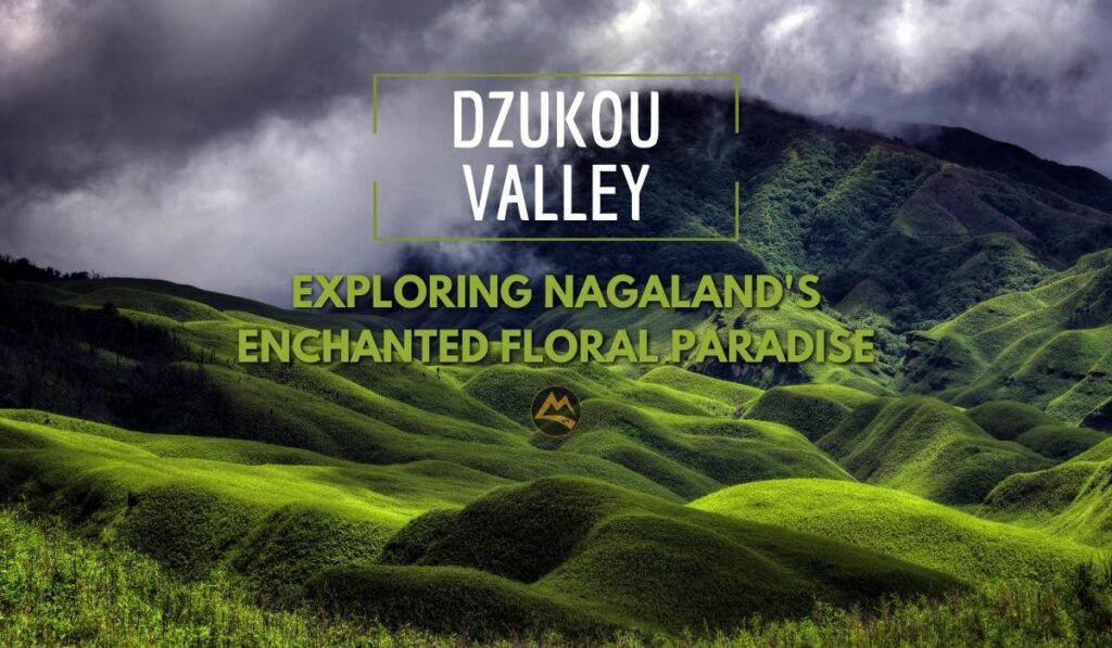 Dzukou-Valley-Trek