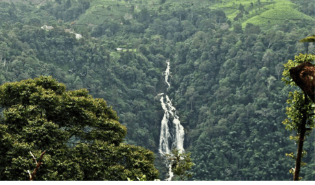tourist places in wayanad for 2 days