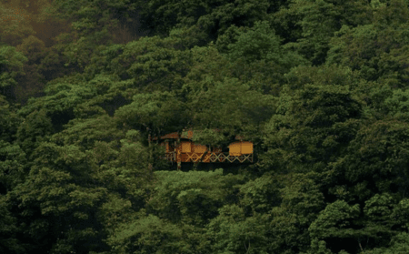 vythiri-tree-house