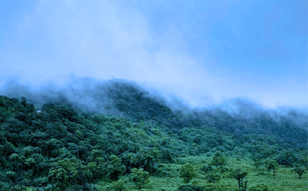 Baba-budangiri-in-monsoo