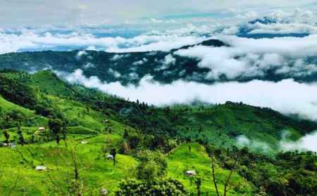tuophema-nagaland