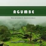 Weekend trip to Agumbe Rainforest