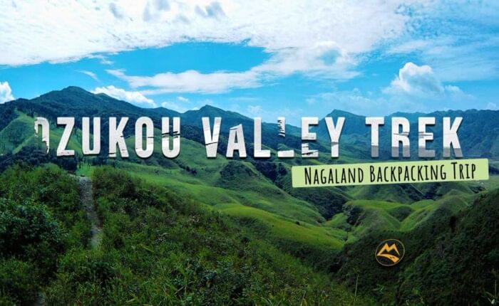 Dzukou valley Trek Nagaland