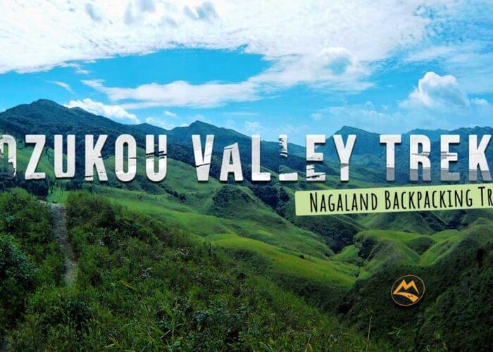 Dzukou valley Trek Nagaland