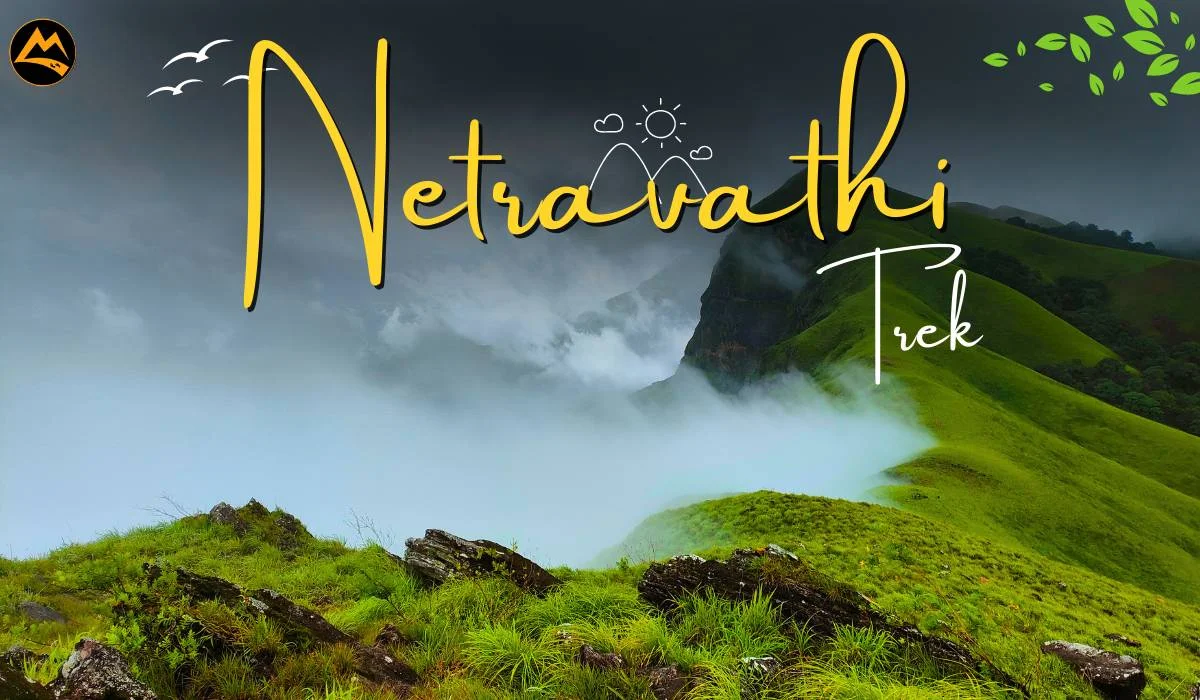 Netravathi-website-done (1)
