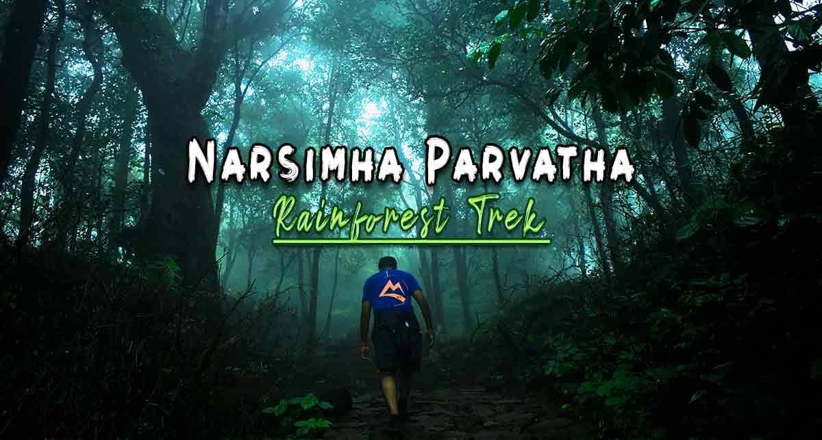 Narsimha-Parvatha-Trek-Image-Muddie-Trails