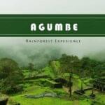 agumbe-view