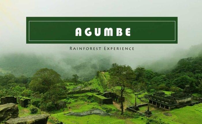 agumbe-view