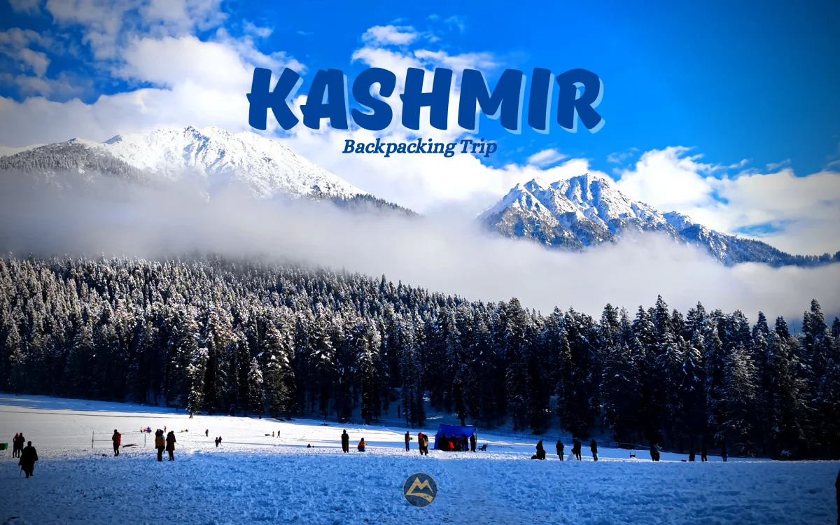 Kashmir_Creative_Winter (2)