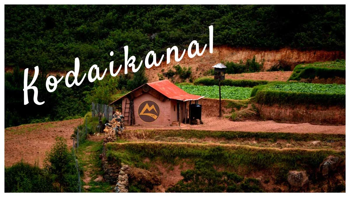 Kodaikonal-Trip-Vattakanal-Trek-Bangalore