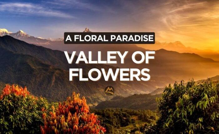 Valley-of-Flowers-Trek-Muddie-Trails