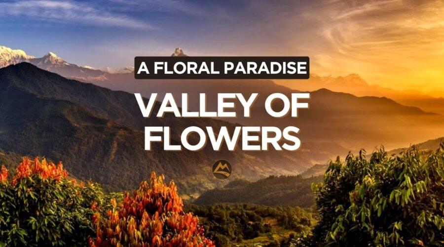 Valley-of-Flowers-Trek-Muddie-Trails