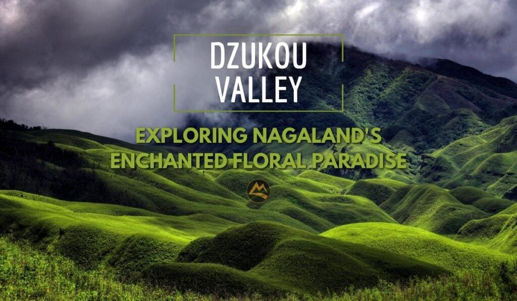 Dzukou-Valley-Trek