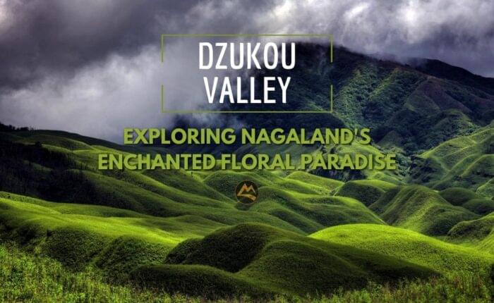 Dzukou-Valley-Trek
