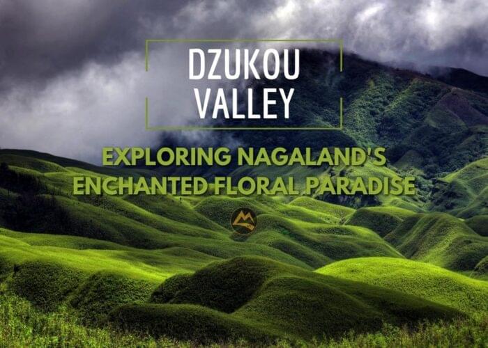 Dzukou-Valley-Trek
