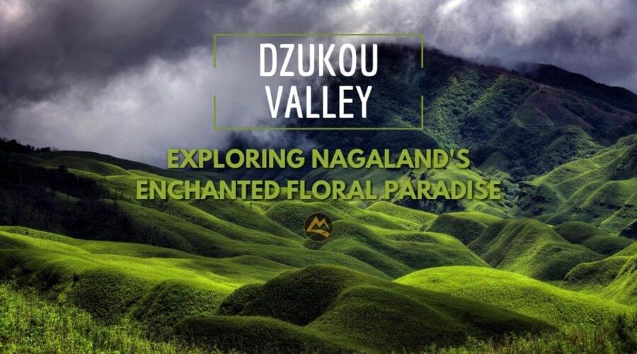 Dzukou-Valley-Trek