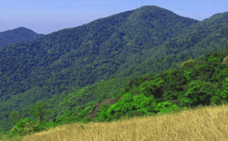 Pakshipathalam-Bird-Sanctuary