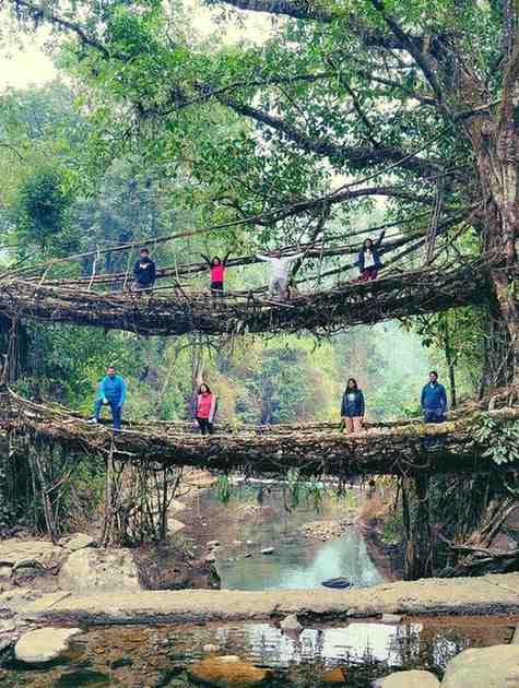 focus-meghalaya