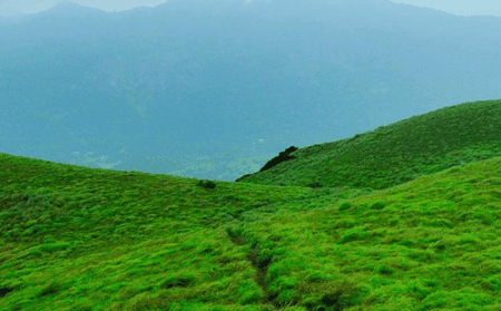 kallade-forest-trek