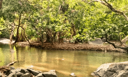 kuruva-island