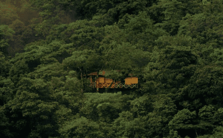 vythiri-tree-house