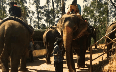 carmelagiri-munnar