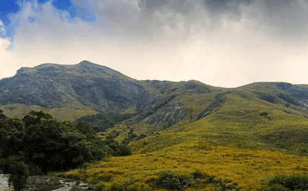 eravikulam-national-park