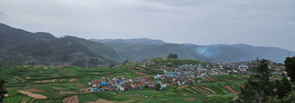 kodai-view