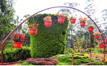 rose-garden