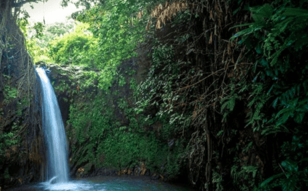 Apsaragonda -falls