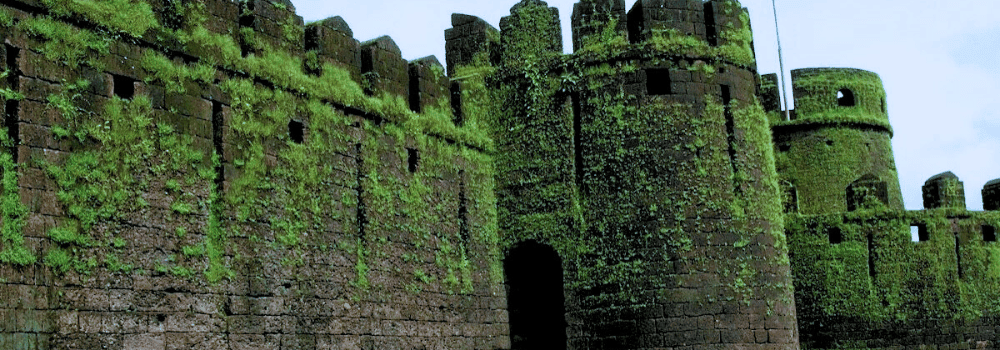 mirjan-fort