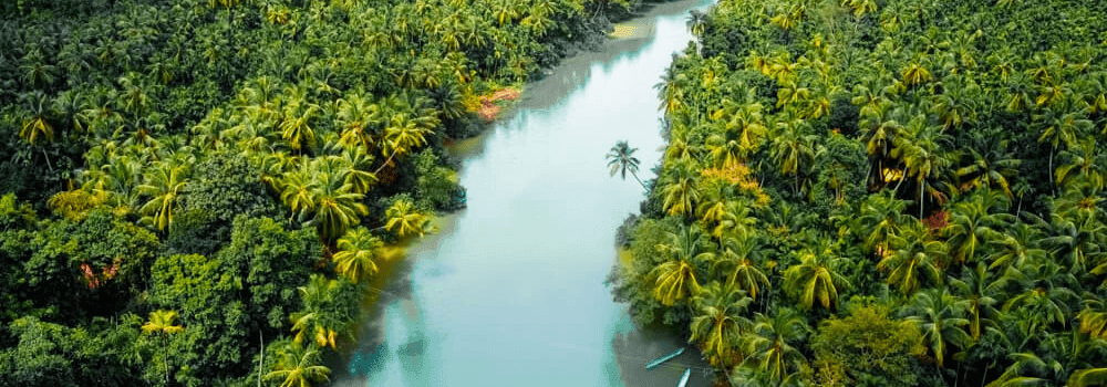 Sharavathi-river