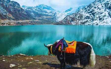yumthang-valley
