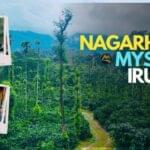 Nagarhole-Mysore-Group-Trip-Muddie-Trails