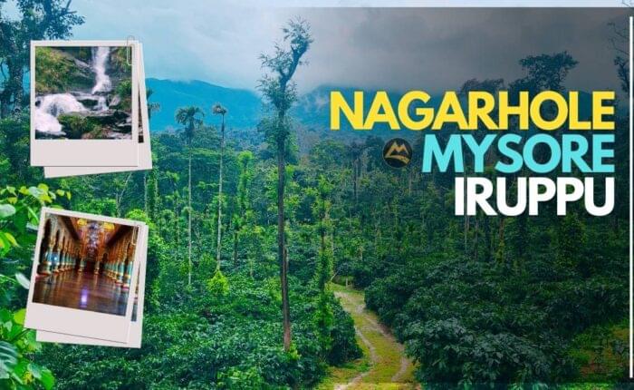 Nagarhole-Mysore-Group-Trip-Muddie-Trails