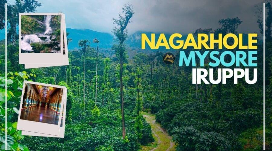 Nagarhole-Mysore-Group-Trip-Muddie-Trails